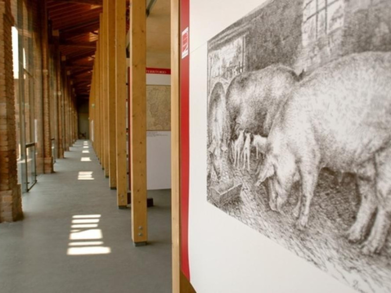 Langhirano, Museo del Prosciutto di Parma