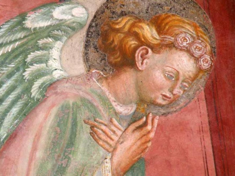 Montechiarugolo, Castello e Raccolta Archeologica