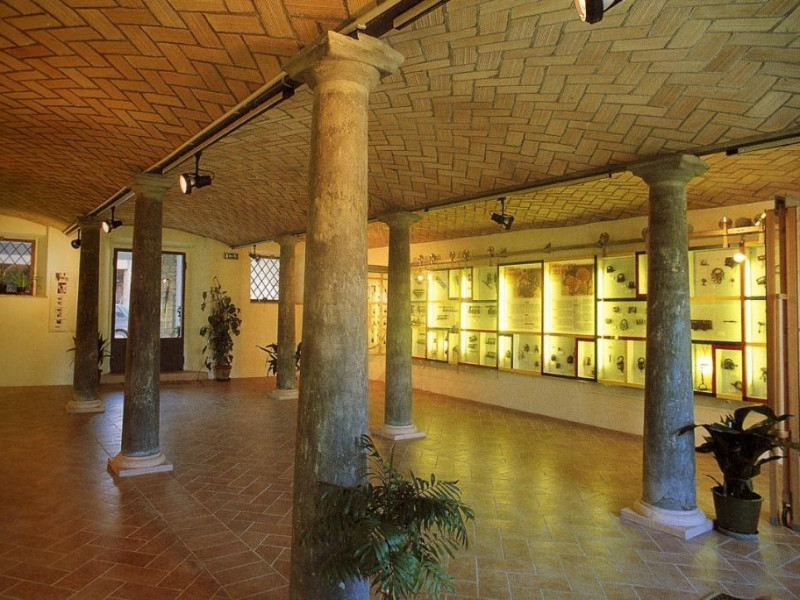 Neviano degli Arduini, Museo Storico dei Lucchetti "V. Cavalli"