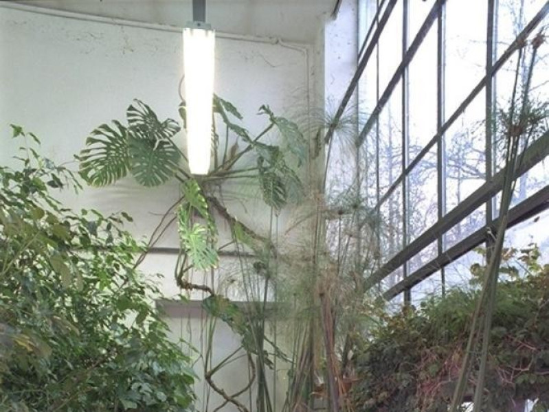 Parma, Orto Botanico Parma, Orto Botanico