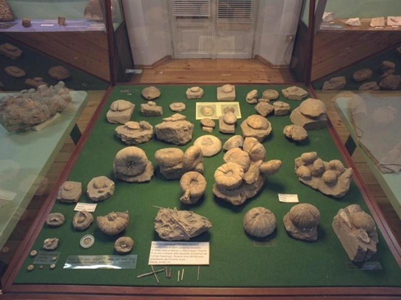 Salsomaggiore Terme, Il Mare Antico - Museo Paleontologico