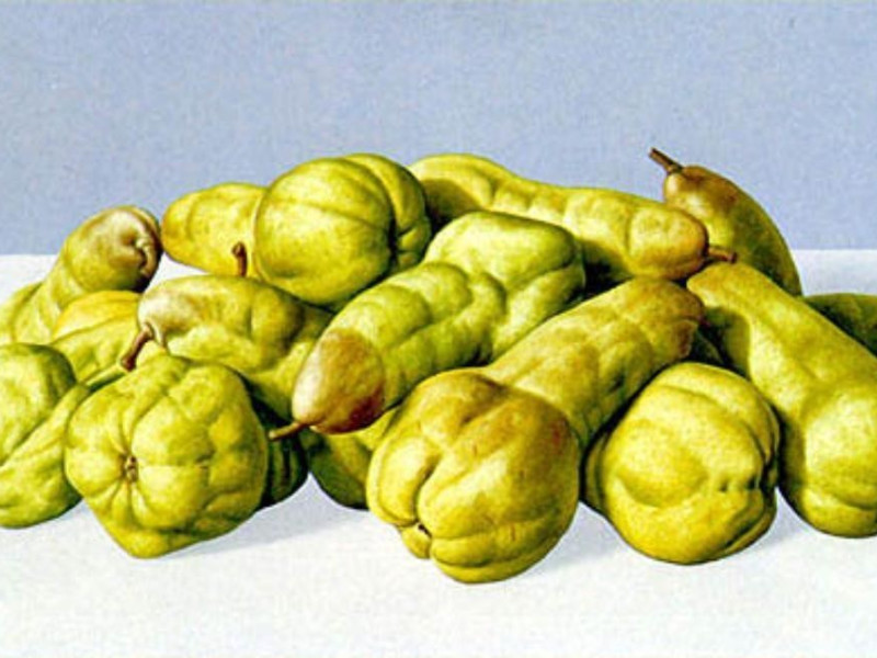 Luzzara, Museo Nazionale delle Arti Naives "C. Zavattini"