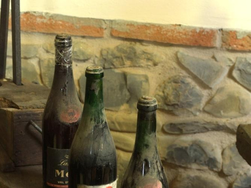 Montecchio Emilia, Museo del Vino "La Rampata" Montecchio Emilia, Museo del Vino "La Rampata"