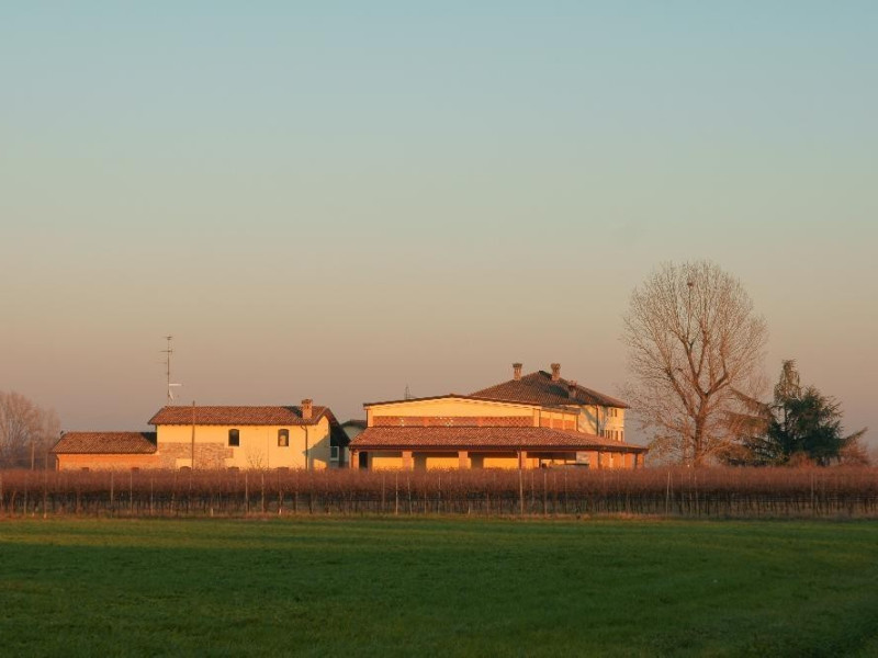Montecchio Emilia, Museo del Vino "La Rampata" Montecchio Emilia, Museo del Vino "La Rampata"