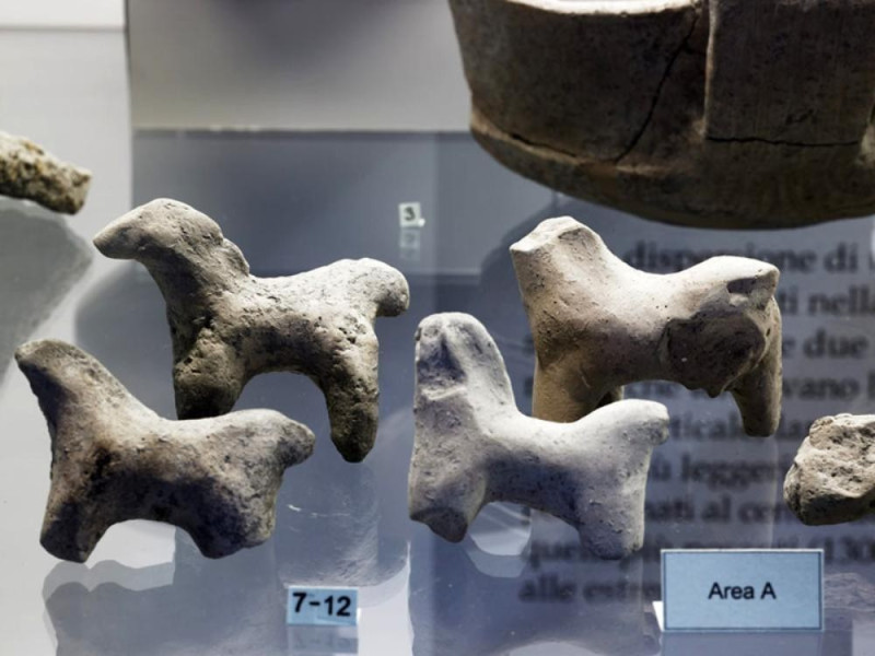 Poviglio, Museo della Terramara Santa Rosa