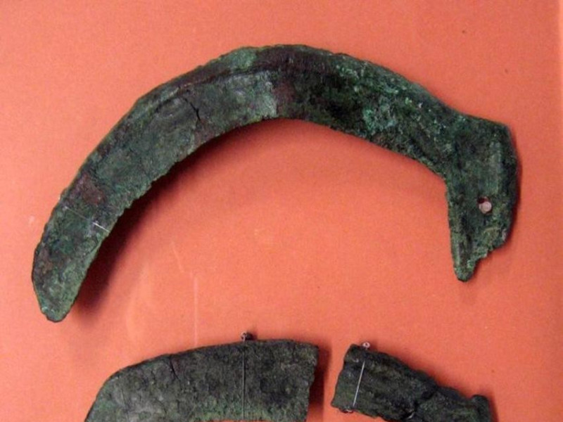 Poviglio, Museo della Terramara Santa Rosa