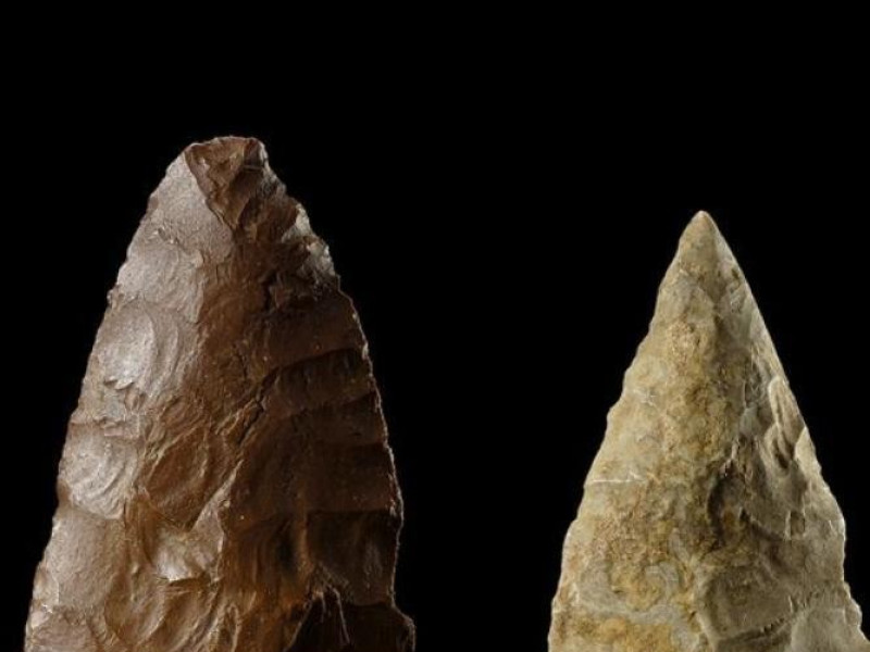 Modena, Museo Civico Archeologico Etnologico