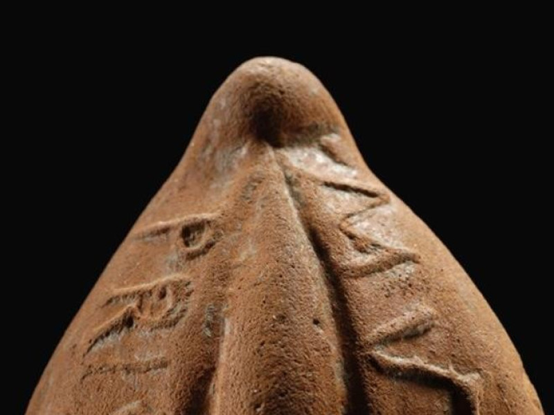 Modena, Museo Civico Archeologico Etnologico