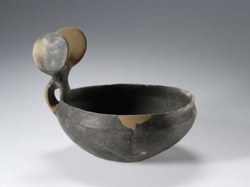 Modena, Museo Civico Archeologico Etnologico