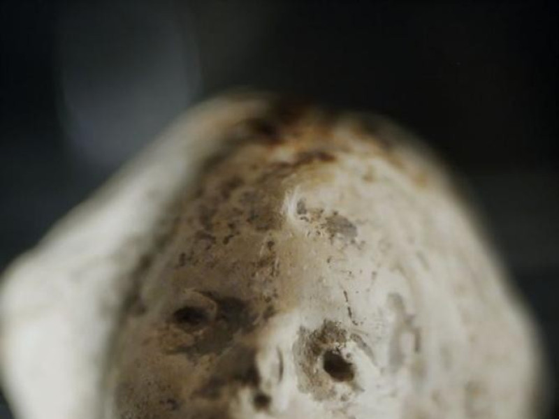 Castelfranco Emilia, Museo Civico Archeologico "A.C. Simonini"