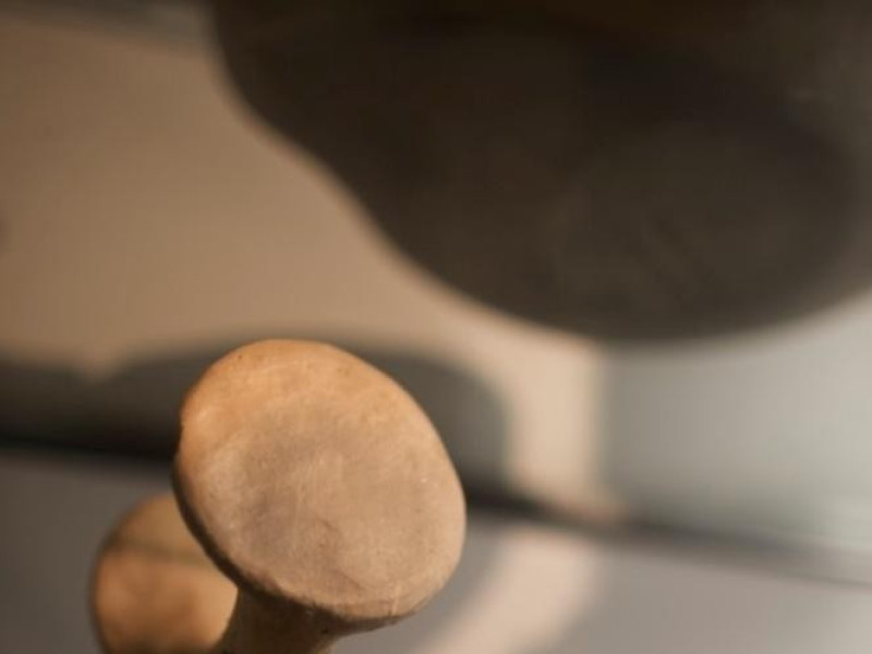 Fiorano Modenese, Museo della Ceramica