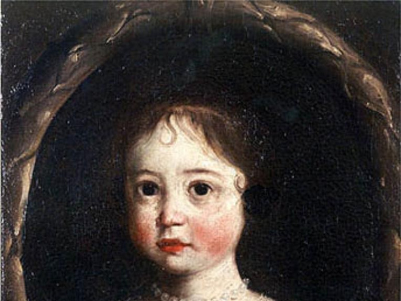 Mirandola, Museo Civico