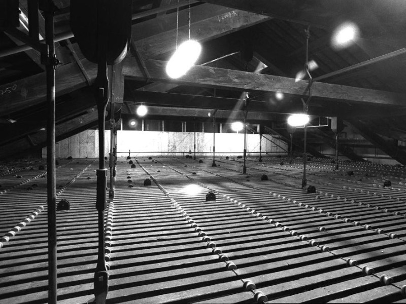 Modena, Teatro Comunale Luciano Pavarotti Modena, Teatro Comunale Luciano Pavarotti