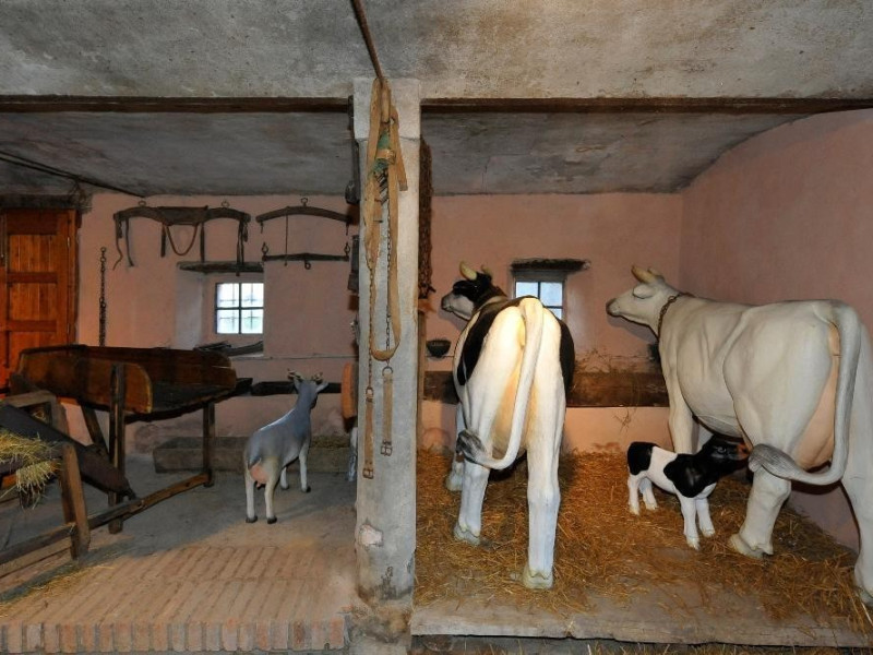 Montese, Raccolta di Cose Montesine