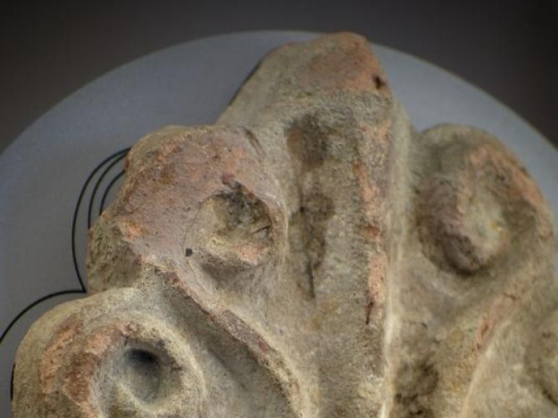 Nonantola, Museo di Nonantola Nonantola, Museo di Nonantola