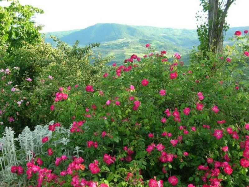 Immagine descrittiva - https://www.fulltravel.it/wp-content/uploads/2016/04/106207.jpg Immagine descrittiva - https://www.fulltravel.it/wp-content/uploads/2016/04/106207.jpg