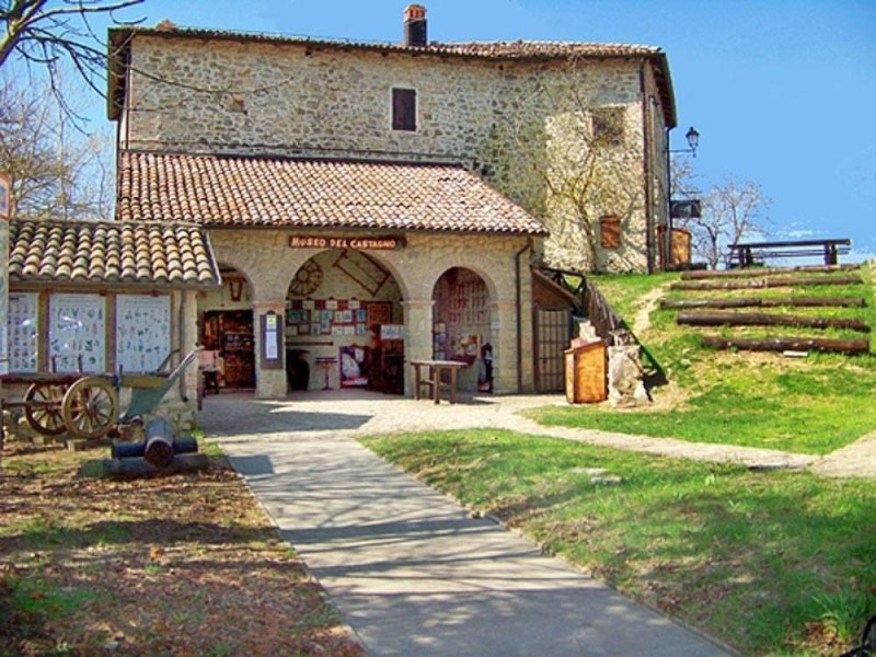 Zocca, Museo del Castagno