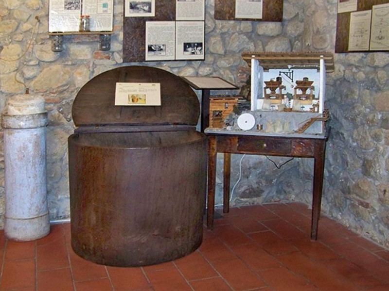 Zocca, Museo del Castagno