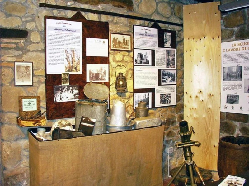 Zocca, Museo del Castagno