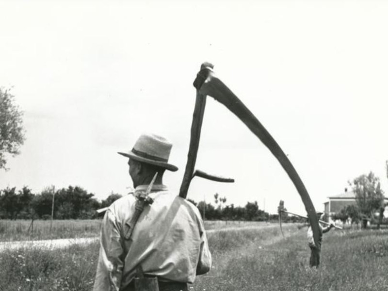 Bentivoglio, Museo della Civiltà Contadina "Istituzione Villa Smeraldi" Bentivoglio, Museo della Civiltà Contadina "Istituzione Villa Smeraldi"