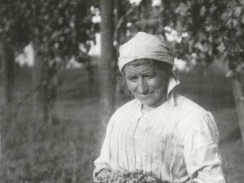 Bentivoglio, Museo della Civiltà Contadina "Istituzione Villa Smeraldi" Bentivoglio, Museo della Civiltà Contadina "Istituzione Villa Smeraldi"