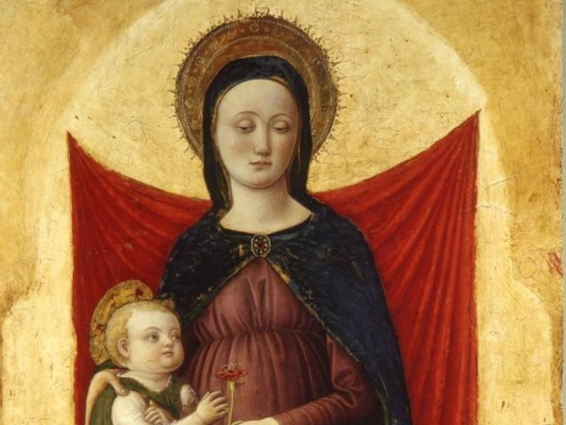 Bologna, Musei Civici d'Arte Antica: Museo d'Arte Industriale "Davia Bargellini" Bologna, Musei Civici d'Arte Antica: Museo d'Arte Industriale "Davia Bargellini"