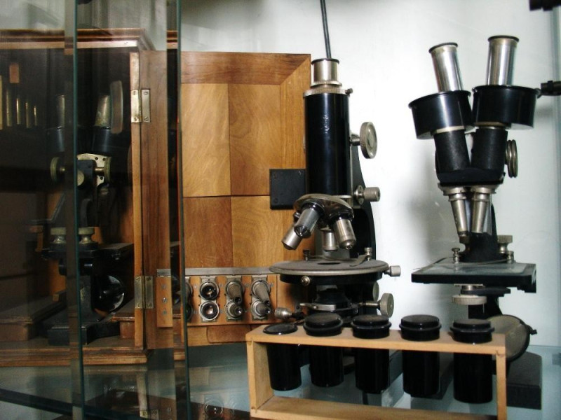 Bologna, Museo Apistico Bologna, Museo Apistico