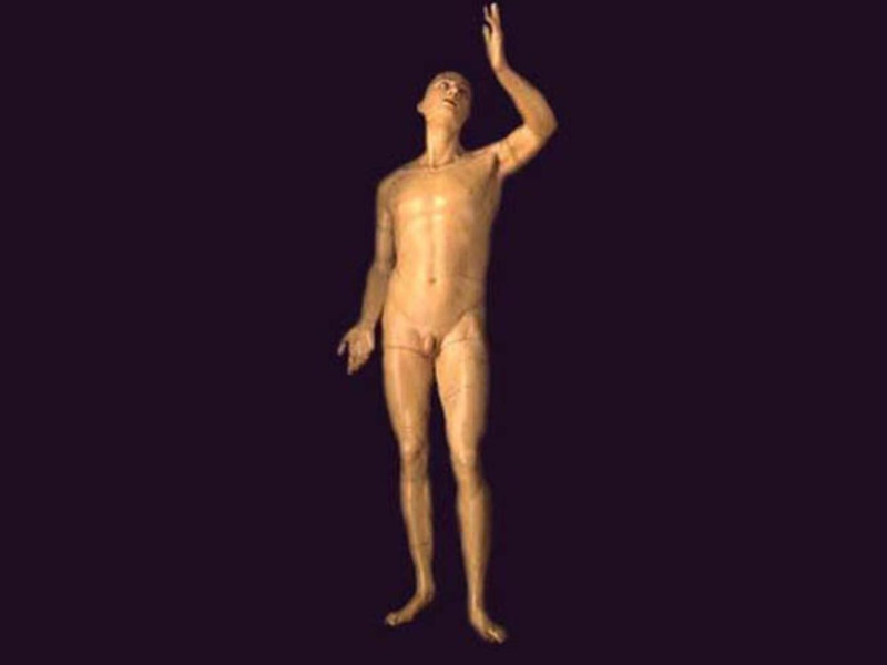 Bologna, Museo delle Cere Anatomiche "L. Cattaneo"