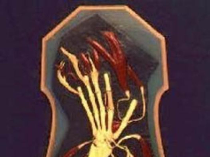 Bologna, Museo delle Cere Anatomiche "L. Cattaneo"