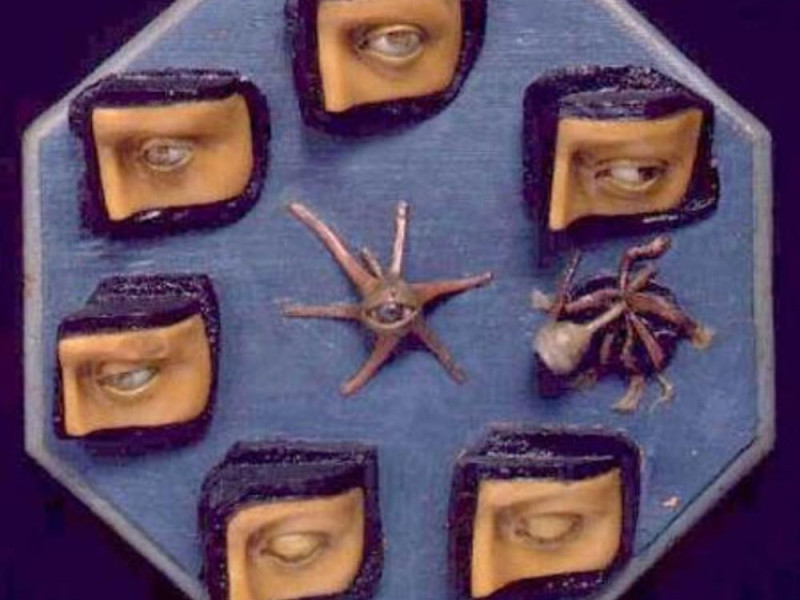 Bologna, Museo delle Cere Anatomiche "L. Cattaneo"