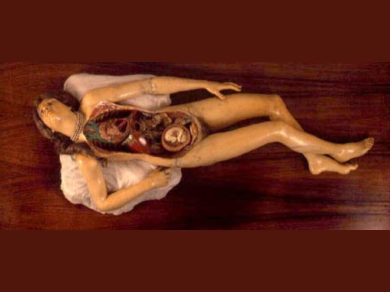 Bologna, Museo delle Cere Anatomiche "L. Cattaneo"