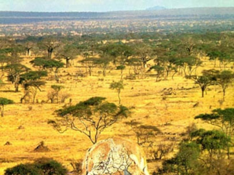 Bologna, Museo di Antropologia