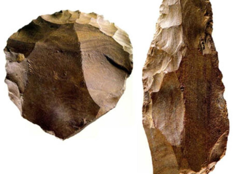 Bologna, Museo di Antropologia