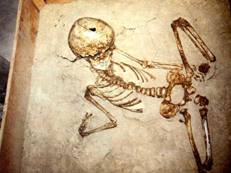 Bologna, Museo di Antropologia