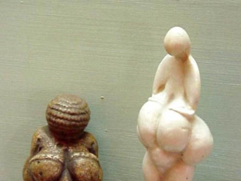 Bologna, Museo di Antropologia