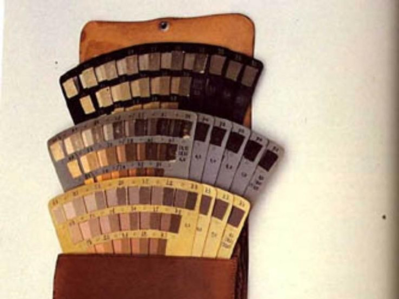 Bologna, Museo di Antropologia