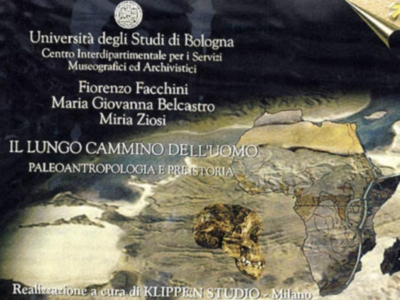 Bologna, Museo di Antropologia