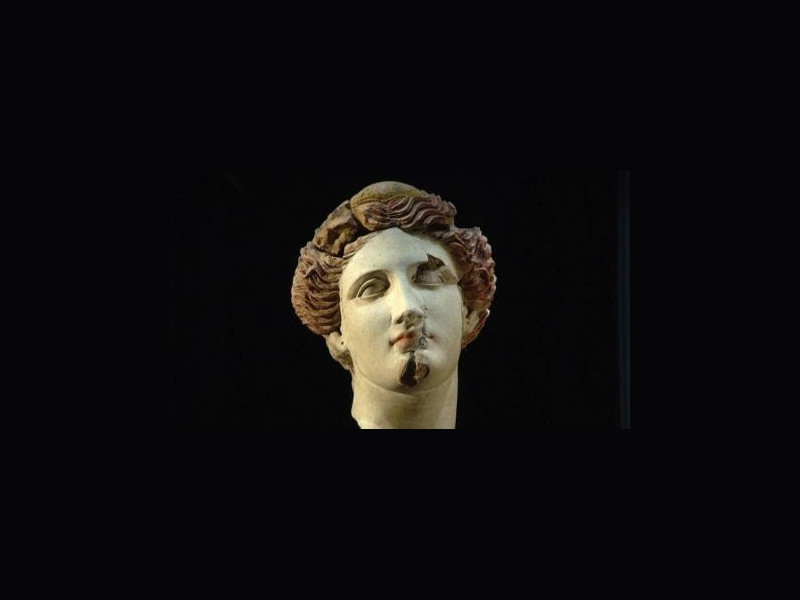 Testa femminile in terracotta - SALA XI- Testa femminile in terracotta - SALA XI-