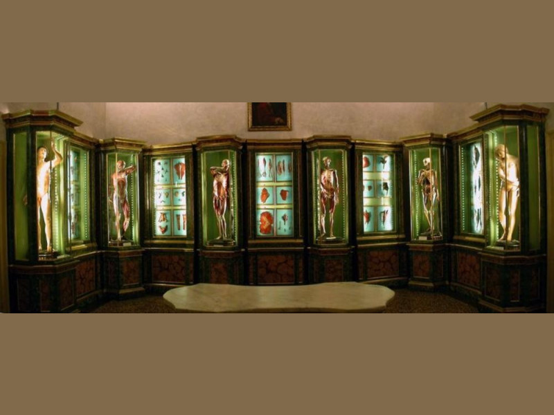 Bologna, Museo di Palazzo Poggi