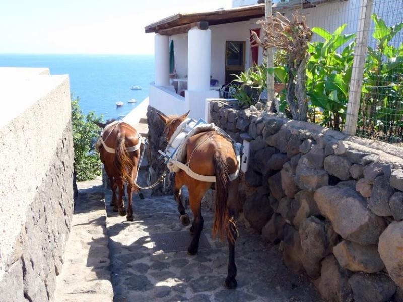 Immagine descrittiva - CC BY Di Pol Ferre i Samon - p1000724.jpg, CC BY 3.0, https://commons.wikimedia.org/w/index.php?curid=18102256