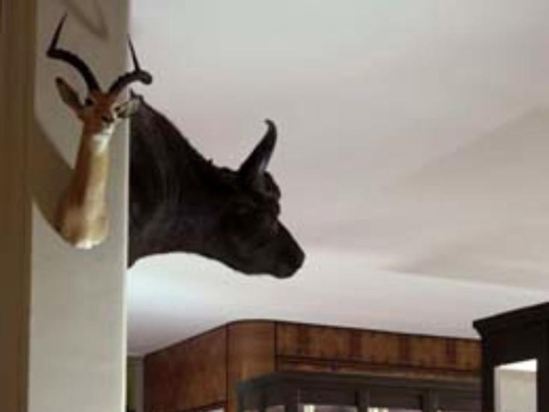 Bologna, Museo di Zoologia