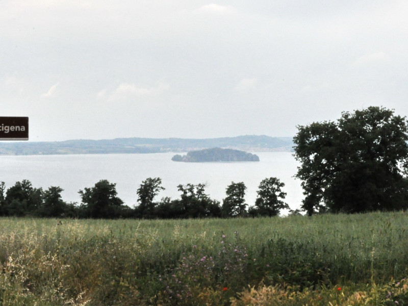 Immagine descrittiva - CC BY Immagine descrittiva - CC BY