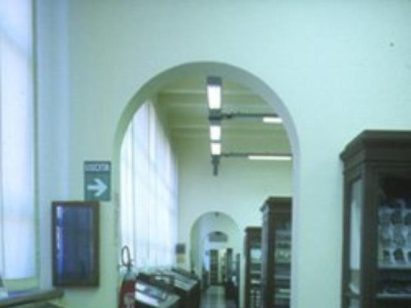 Bologna, Museo Geologico "G. Capellini" Bologna, Museo Geologico "G. Capellini"