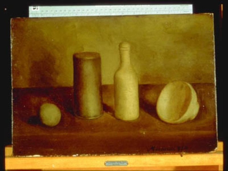 Bologna, Museo Morandi Bologna, Museo Morandi