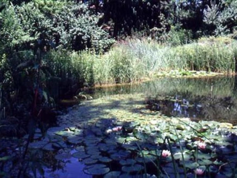 Bologna, Orto Botanico
