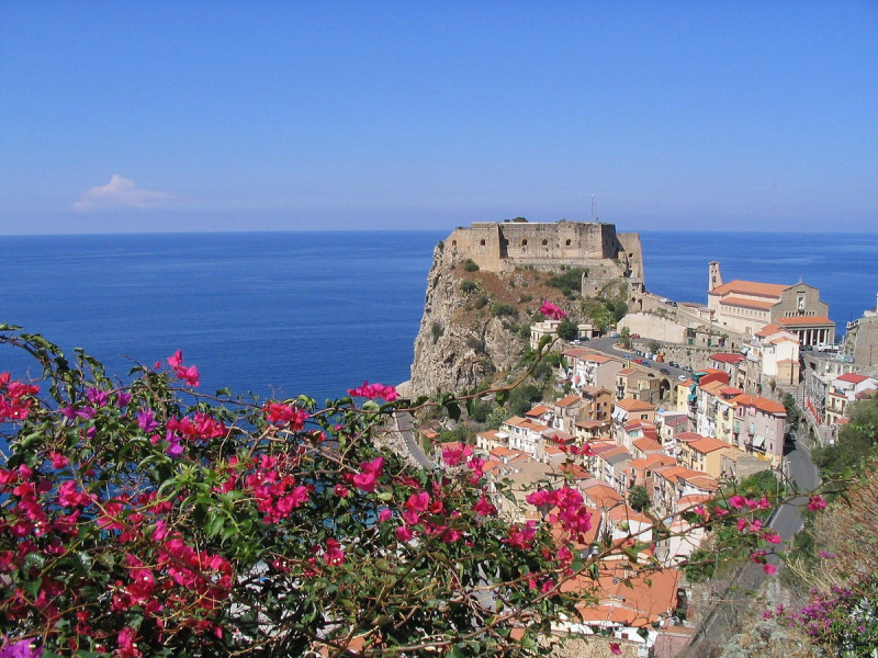 Immagine descrittiva - CC BY Di Anna Majkowska - Scilla, CC BY 2.0, https://commons.wikimedia.org/w/index.php?curid=3795139 Immagine descrittiva - CC BY Di Anna Majkowska - Scilla, CC BY 2.0, https://commons.wikimedia.org/w/index.php?curid=3795139