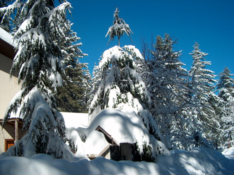 Immagine descrittiva - CC BY Di Salvatore Migliari, CC BY 3.0, https://commons.wikimedia.org/w/index.php?curid=52887472 Immagine descrittiva - CC BY Di Salvatore Migliari, CC BY 3.0, https://commons.wikimedia.org/w/index.php?curid=52887472