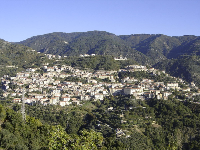 Immagine descrittiva - CC BY Di Francesco Fratto, CC BY 3.0, https://commons.wikimedia.org/w/index.php?curid=8271434 Immagine descrittiva - CC BY Di Francesco Fratto, CC BY 3.0, https://commons.wikimedia.org/w/index.php?curid=8271434