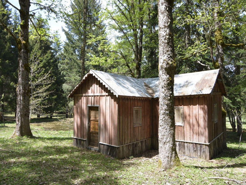 Immagine descrittiva - BY Parco Nazionale della Sila 