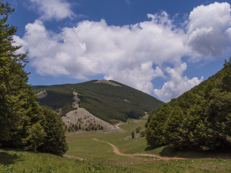 Veduta del parco del pollino Veduta del parco del pollino